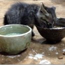 월선농장 이미지