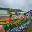 고인돌민박 이미지