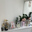 9월의 소원 동물병원 | [일상, daily] 9월의소원 동물병원🐶🐱