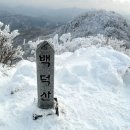 수협 앞 횡단보도 이미지