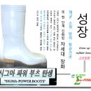 감삼동345 이미지