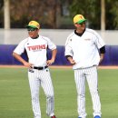 정근우 카카오 검색결과