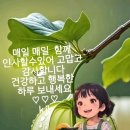대영기공사 티스토리