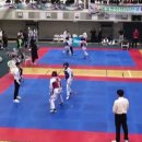 용인대 예당 태권도장 이미지