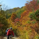 가을동화 이미지