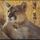 뜬금포