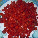 지전농장 이미지