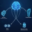 호수피드 이미지