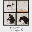 YOU DOG 티스토리