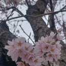 선가 이미지