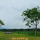 황산공원(황산B) Daum카페