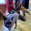 마리앤쥬 이미지