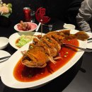 [칭다오여행 4편] 소어산 경치 보고 베이징덕 맛집 ‘미장(味莊)’ 부수기 👊🏼