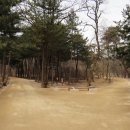 천연머리염색 Daum카페