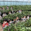 초곡 초등학교 병설 유치원 이미지