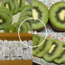 그린과일 | 프리미엄과일 추천 푸르름 제스프리 그린키위 배송후기 알려드려요