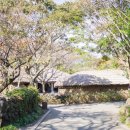 표선리-1 이미지