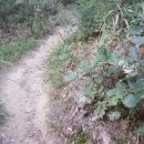 호암약수터 이미지