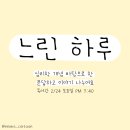 느린하루
