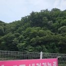 한씨네 네이버블로그