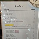 트리아이 이미지