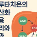 신현대온누리약국 이미지