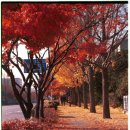 중앙동-02 이미지