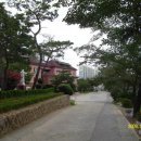 하양적벽돌 이미지