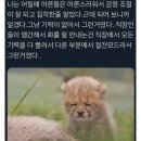 춤을 추자 항상 쿨하게 스타일 구기지마🕺💃