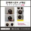 도트인스칼프 이미지