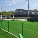 견인지역 애견운동장 유치원 김포점 이미지