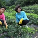 친환경로 이미지