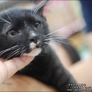 봄봄 나봄 이미지