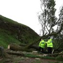 그루터기공원 이미지