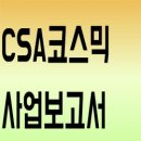 주식회사 씨에스에이코스믹