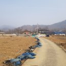 옥천군청성면도곡보건진료소 네이버블로그