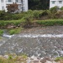 지리산호텔 이미지