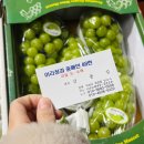 에코파머스마켓 이미지