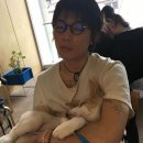 오월오일 이미지