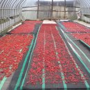 김희수농장 이미지