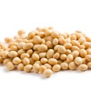 지안아트 코리아 이미지