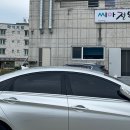 밥보 씨아전복 이미지