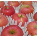 미루농원 이미지