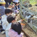 도산어린이집 이미지