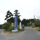 솔밭해안가펜션 | 보령캠핑장 용두해수욕장 야영장 동백관 소나무숲