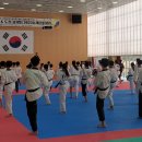 영재태권도체육도장 MK스포츠