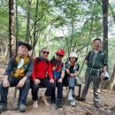 국대오리 이미지