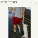 네네치킨네네피자 이미지