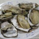 통영굴찜 이미지