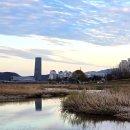 바한 | 대전 원신흥동 위스키 칵테일바 바한 후기